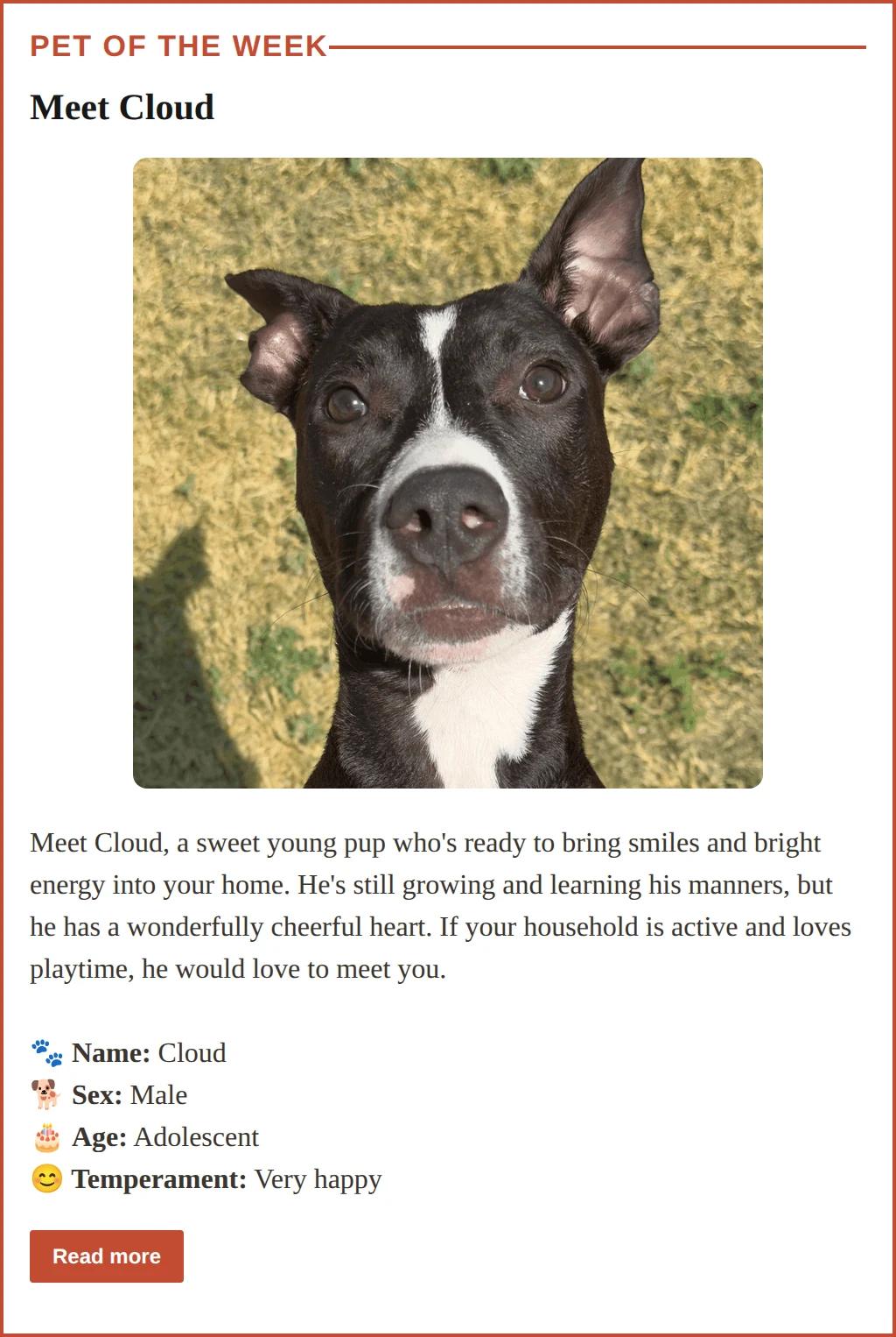 A pet of the week section from one of our local newsletters